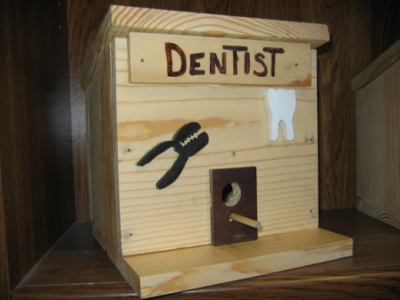 Bird House Dentist