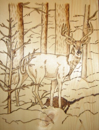 Buck in the Forest
